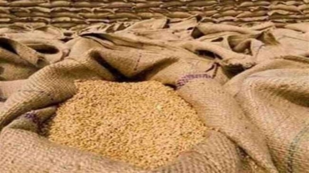 উত্তর প্রদেশে ৩০ মার্চ থেকে গম কেনা শুরু হবে
