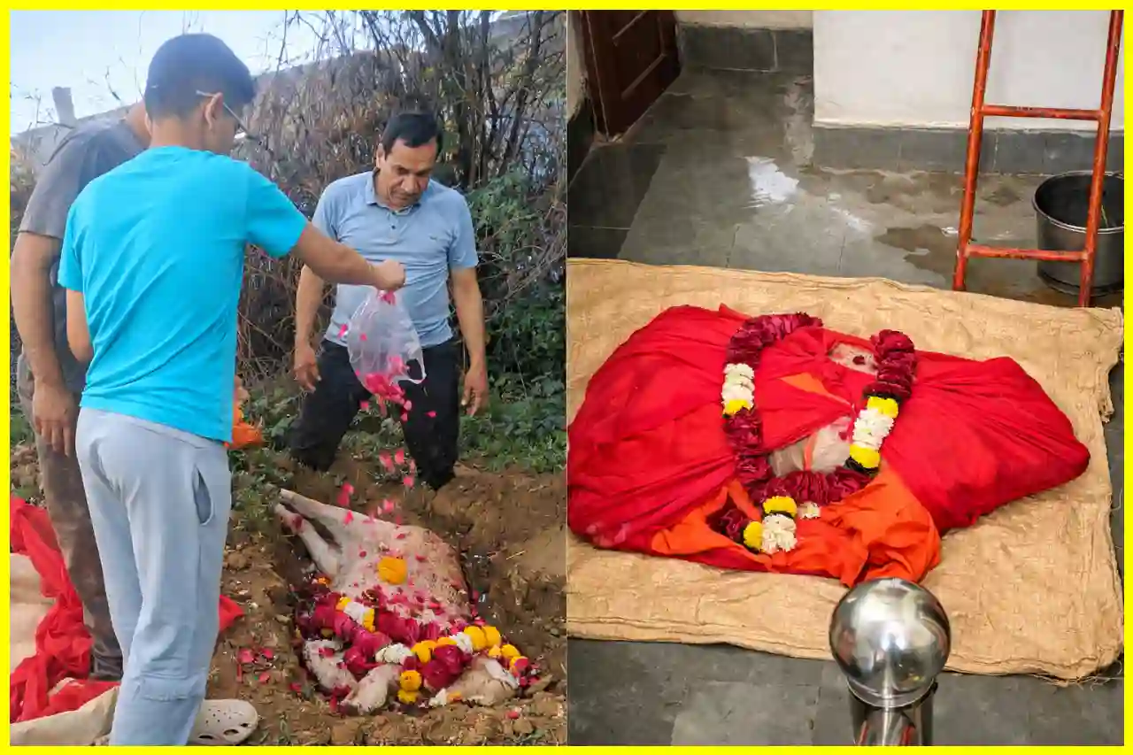 চিত্তোরগড়ে পোষ্য কুকুর বিউটির আবেগময় বিদায়