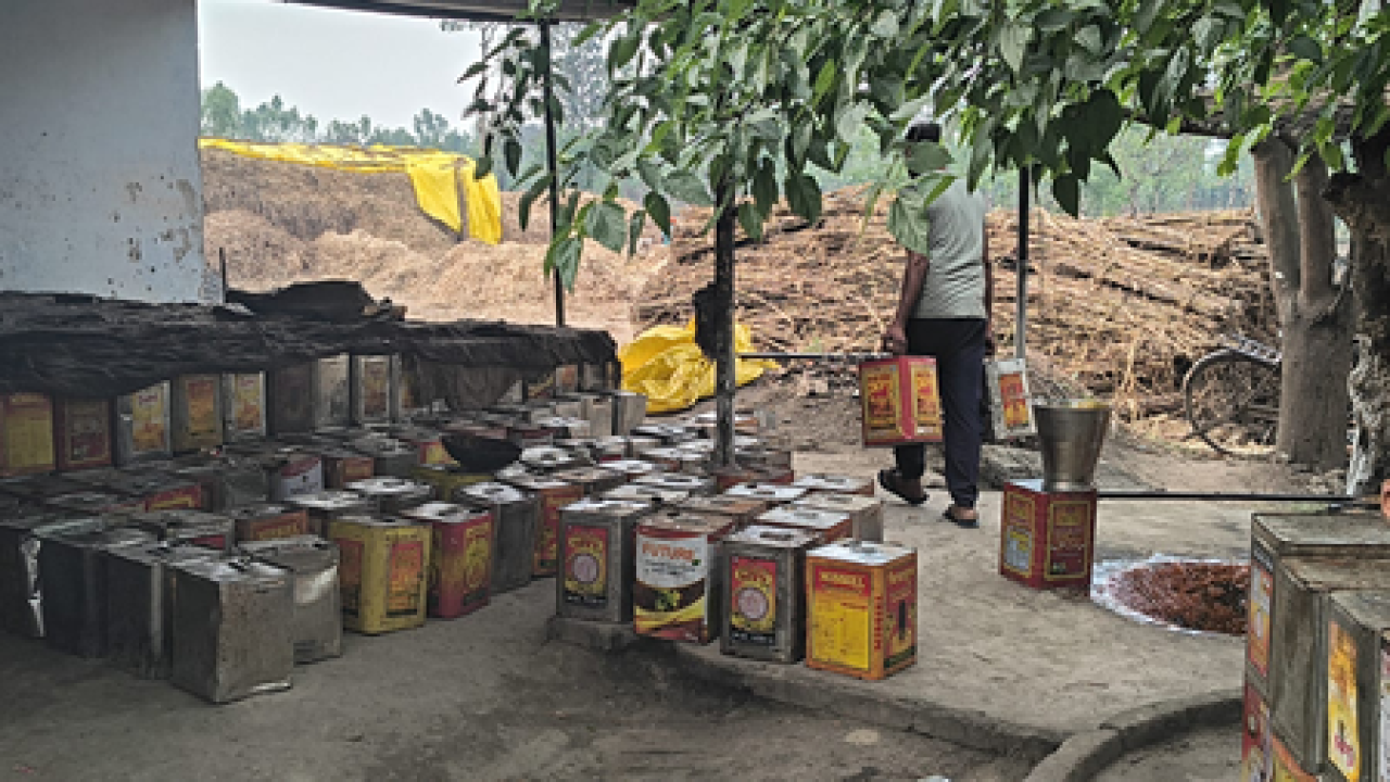 সরকারি পরিকল্পনায় সফল উদ্যোক্তা হলেন গ্রামের মেয়ে সোমা