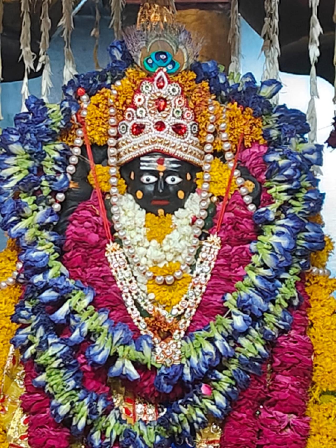 ১৬ মে শনি জন্মোৎসব ও বট সাভিত্রীর ব্রত, জানুন শুভ-অশুভ সময়