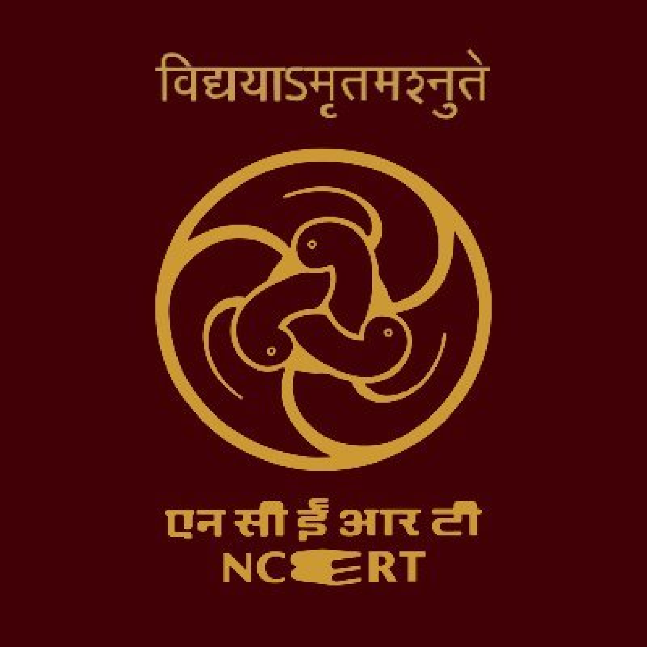 ‘কৃষ্ণা’ কোনো বিতর্ক নয়, জীবনদায়ী নদীর নাম: এনসিইআরটি