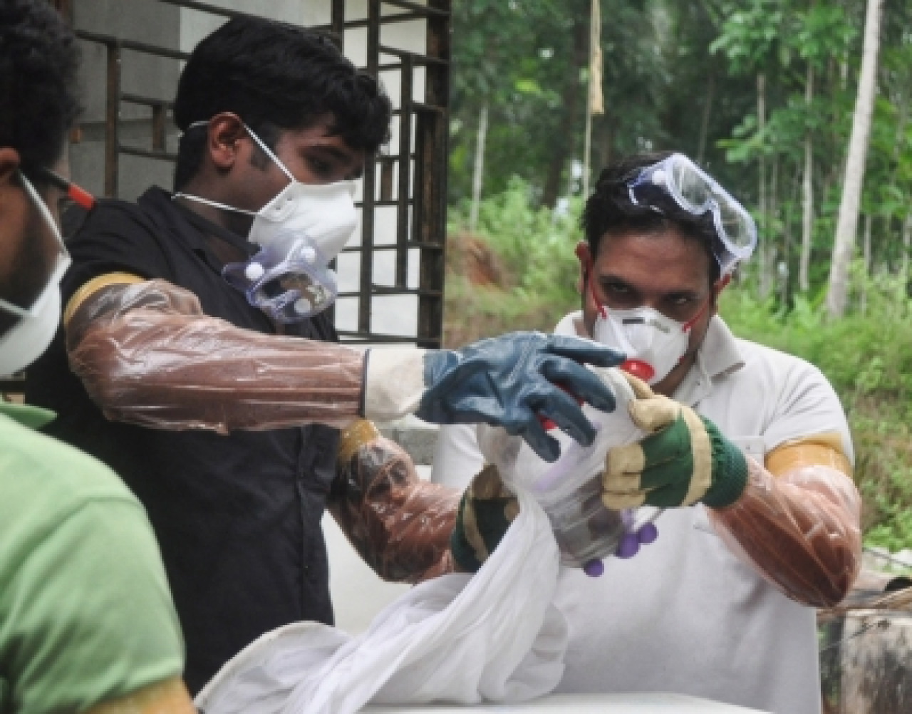 কেরালায় নিপাহ এবং শিগেলা ভাইরাসের প্রাদুর্ভাব; স্বাস্থ্য বিভাগ সতর্ক