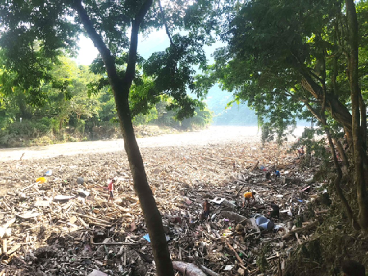 नेपालের বন্যা: ৪০৩ পর্যটকের সঙ্গে যোগাযোগ বিচ্ছিন্ন, অধিকাংশ ভারতীয়; মহারাষ্ট্র সরকার হেল্পলাইন নম্বর প্রকাশ করেছে